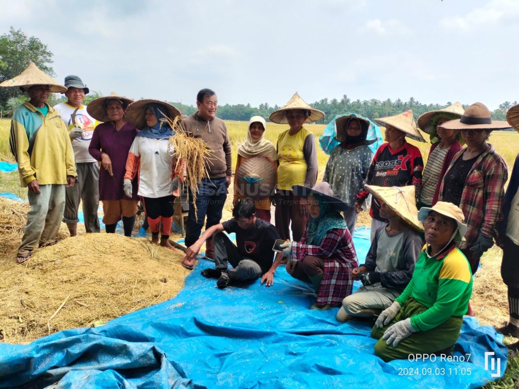 Cabup Halim Sapa Petani Padi Kuansing